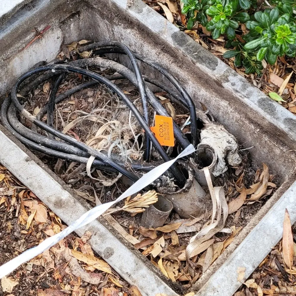 Slide of Go Electric Service