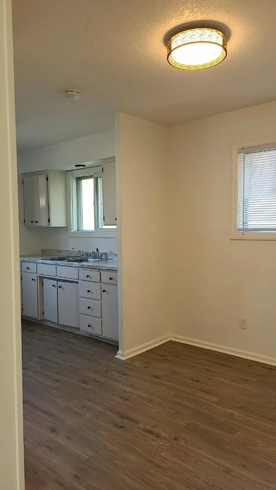 Slide of Go Girl Construction