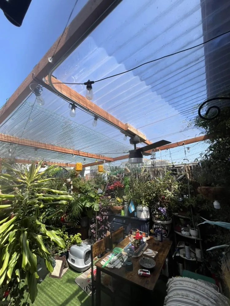 Slide of Godfather Electric