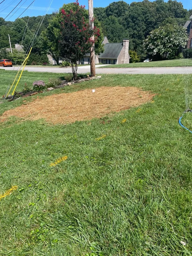 Expert electrician providing panel upgrade in , 