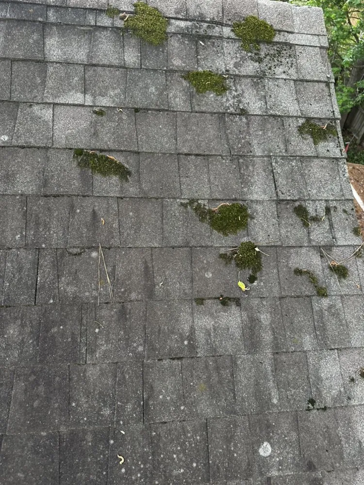 Slide of GOL-B Home Solutions