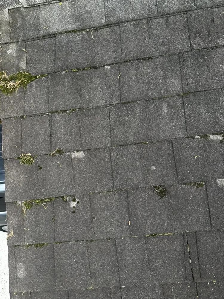 Slide of GOL-B Home Solutions