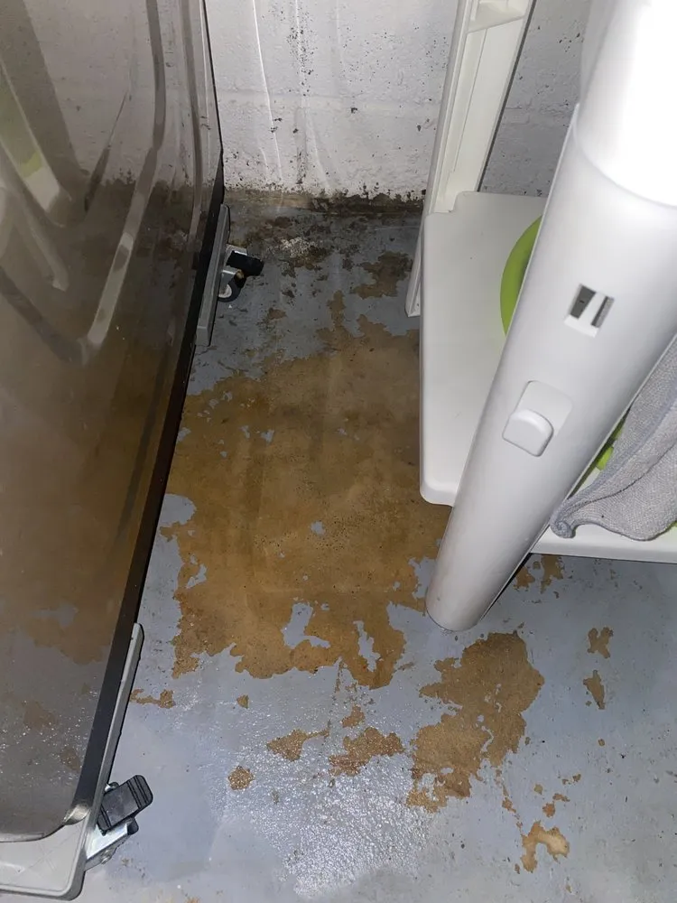 Slide of Gold Medal Service