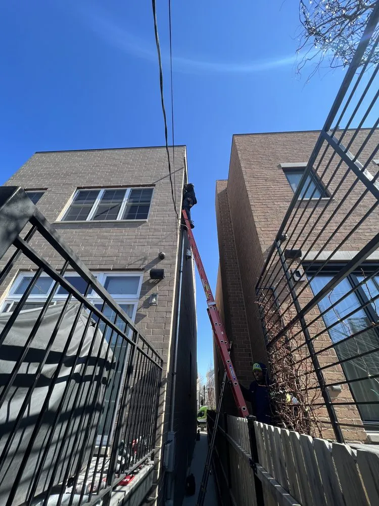 Slide of Gold Standard Electric