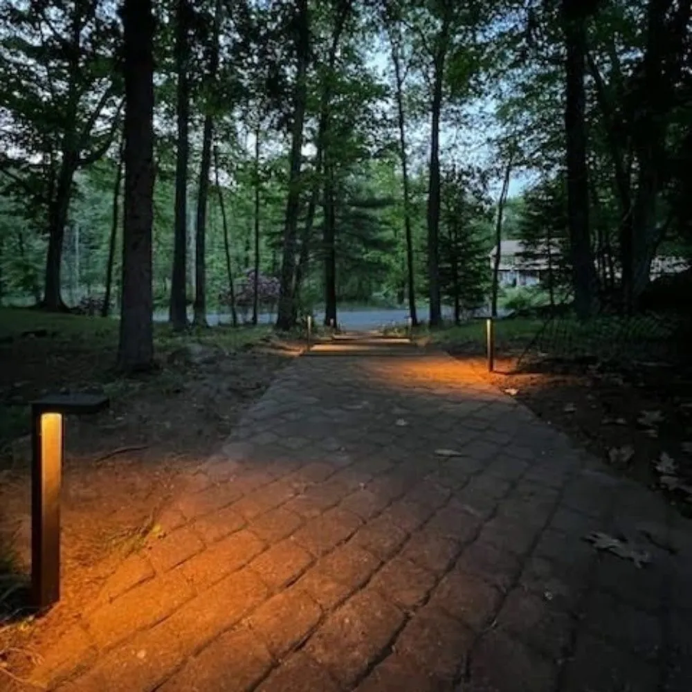 Slide of Gold Standard Electric