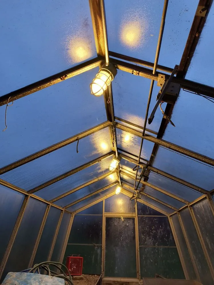 Slide of Gold Standard Electric