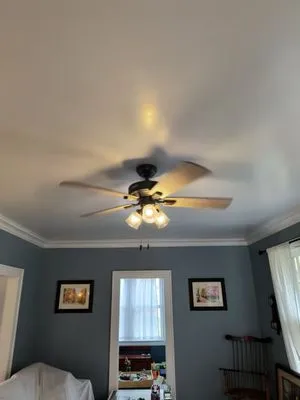 Gold Standard Electric