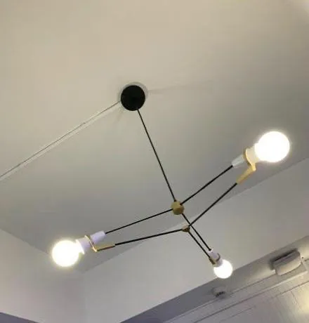 Slide of Gold Wolves Maintenance