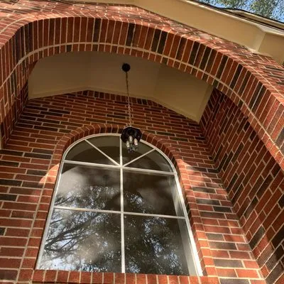 Golden Egg Licensed Electrician Logo