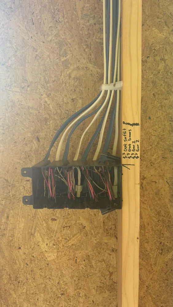 Slide of Golden Electric