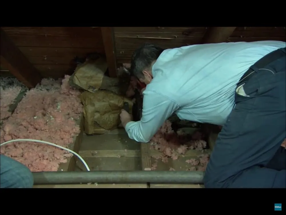 Slide of Golden Electric