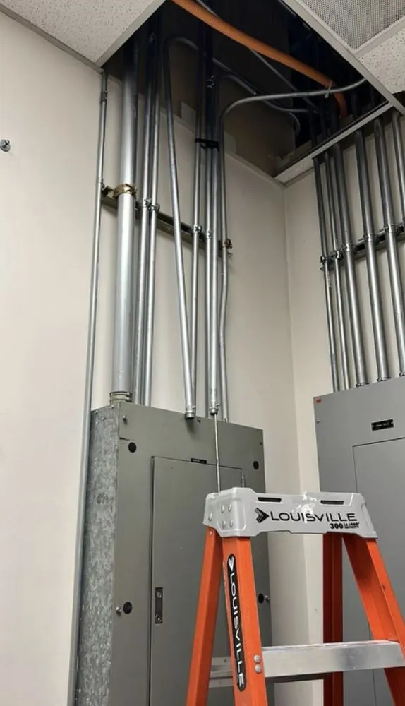 Slide of Golden Electric