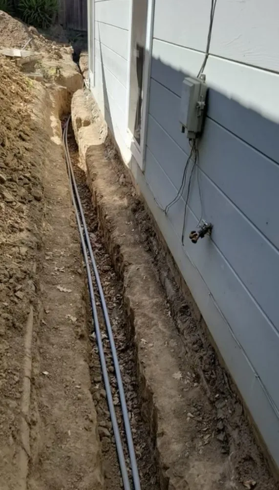 Slide of Golden Electric