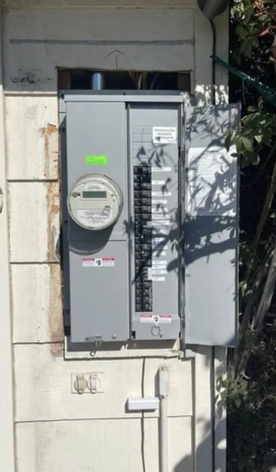 Slide of Golden Electric