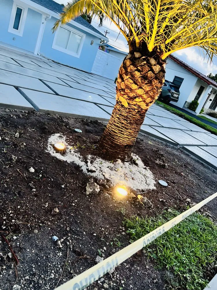 Professional outlet and switch repair in ,  by Golden Electric Services