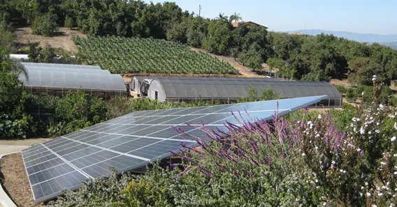 Slide of Golden West Energy