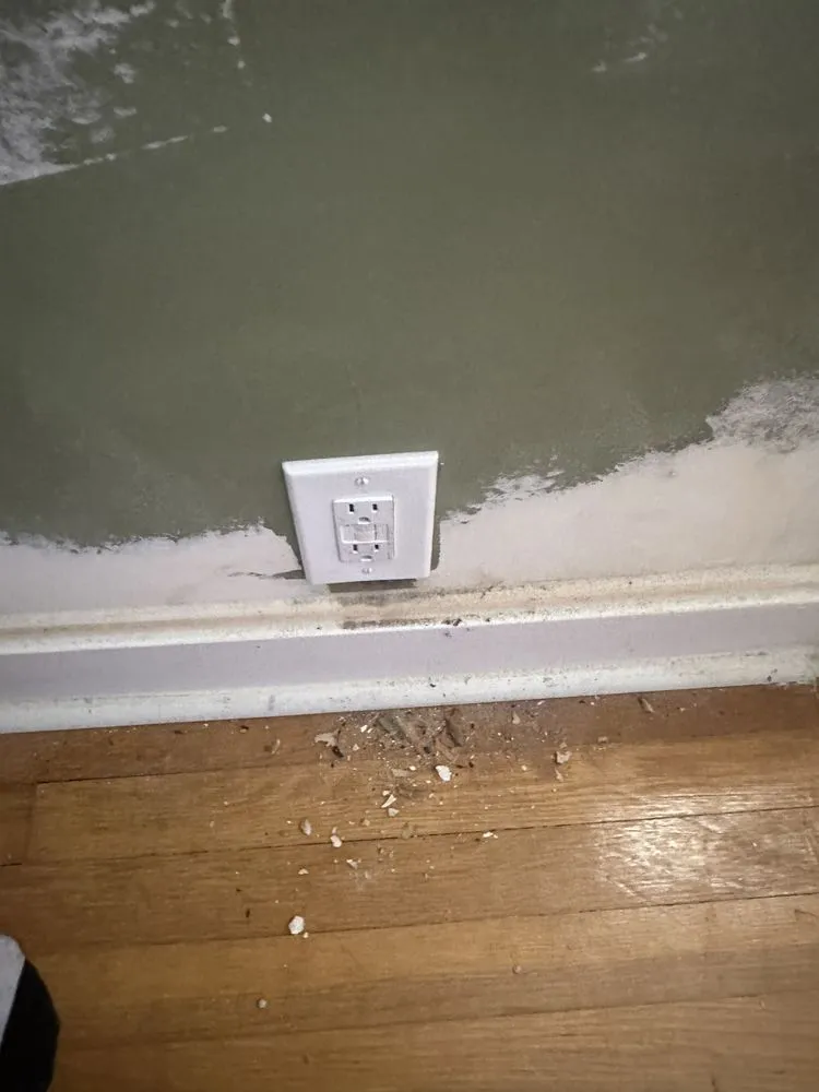 Slide of Goldie Electric