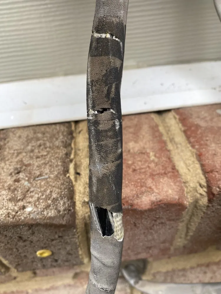 Slide of Golds Electric