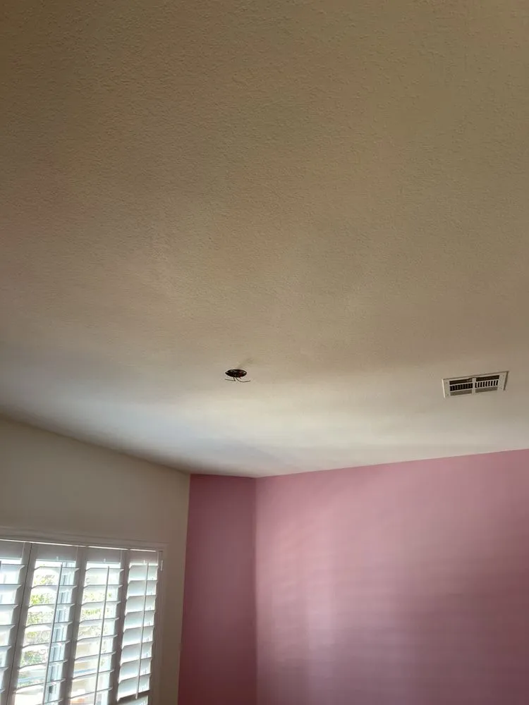 Slide of Golestani Home Repairs