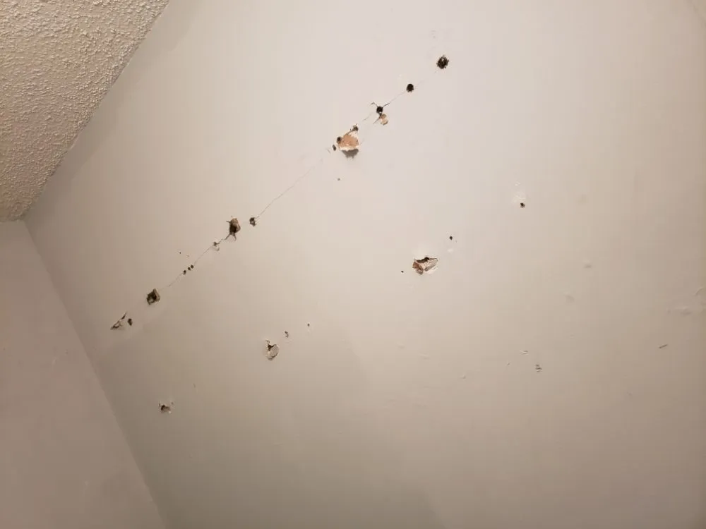 Slide of Goncalves Handyman Services