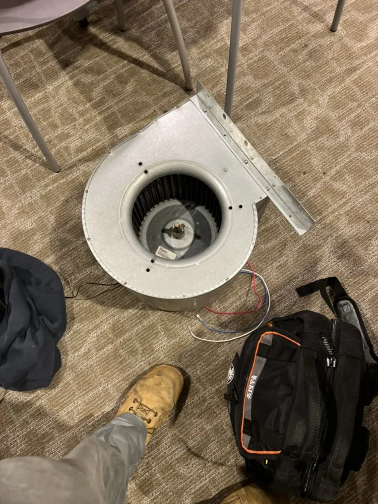 Expert electrician providing lighting installation in ,