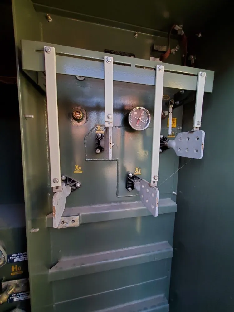 Slide of Gonzalez Marinero