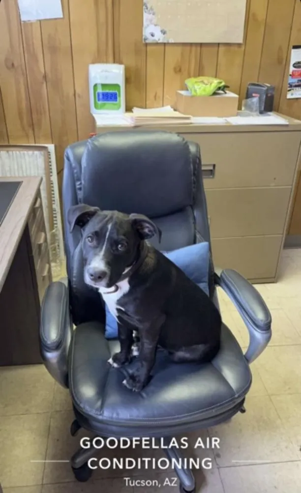 Certified lighting installation experts serving ,  - GoodFellas Air Conditioning & Plumbing