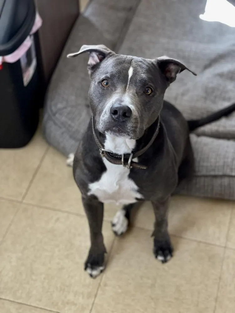 Slide of GoodFellas Air Conditioning & Plumbing