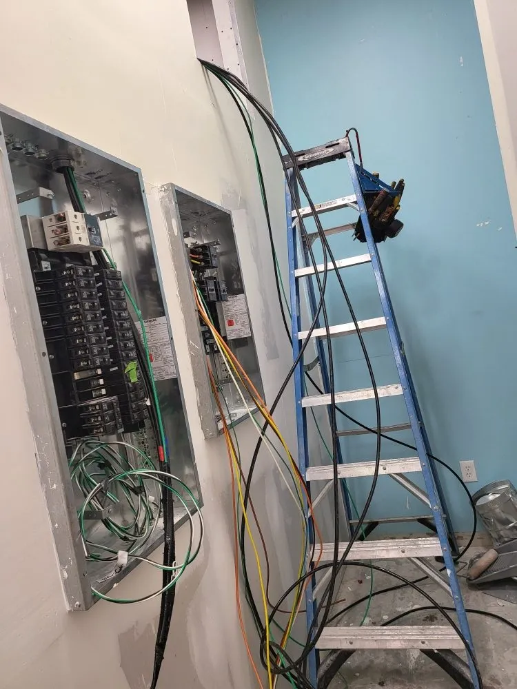 Slide of Goose Electric