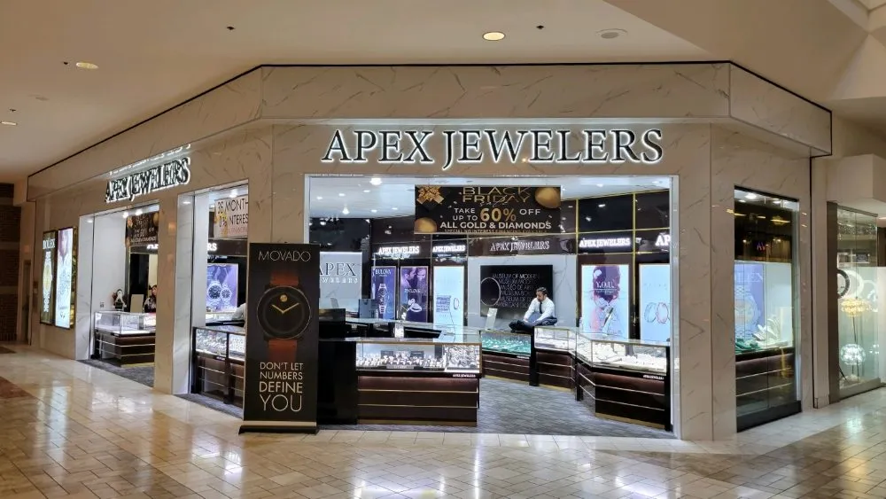 Slide of Goose Electric