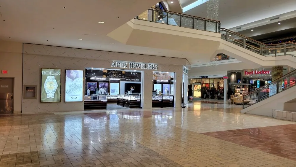 Slide of Goose Electric