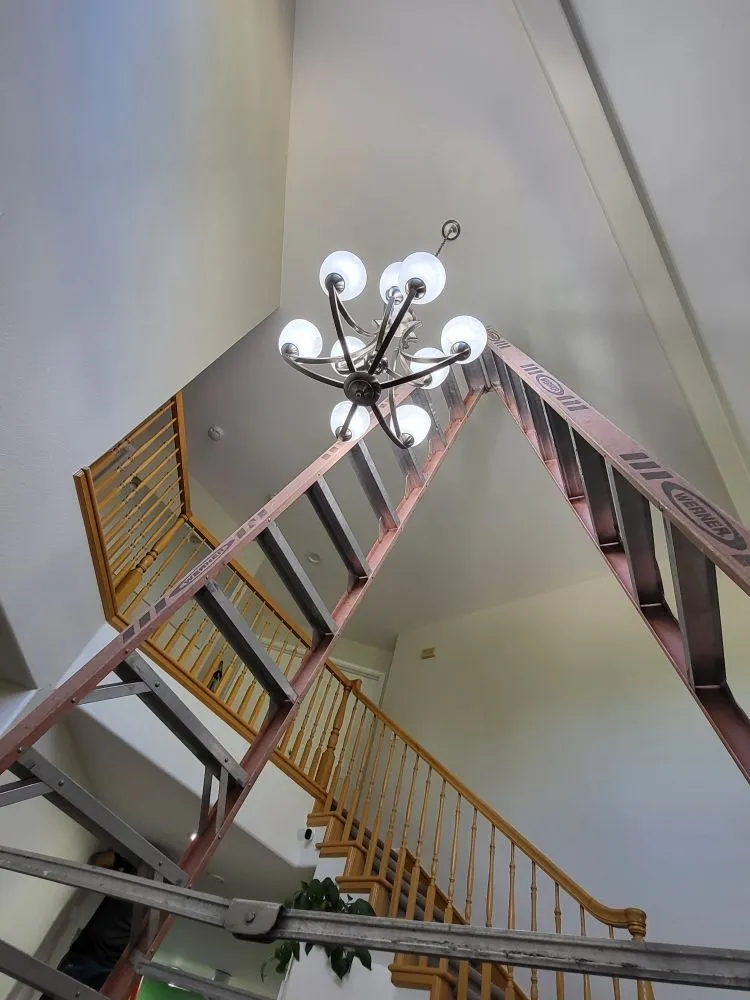 Slide of Goose Electric