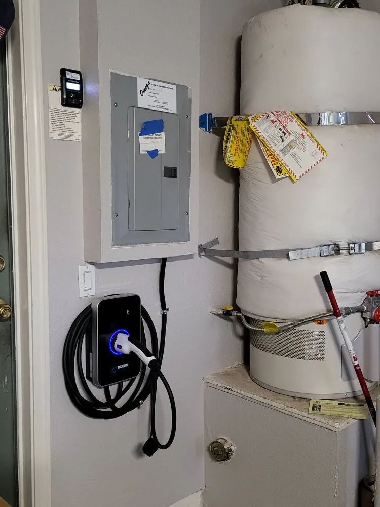 Slide of Goose Electric