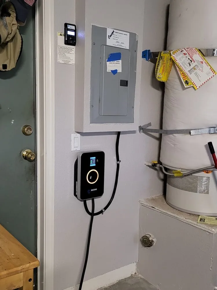 Slide of Goose Electric