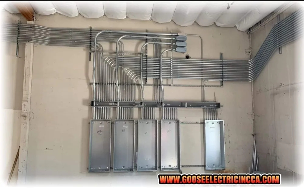 Slide of Goose Electric