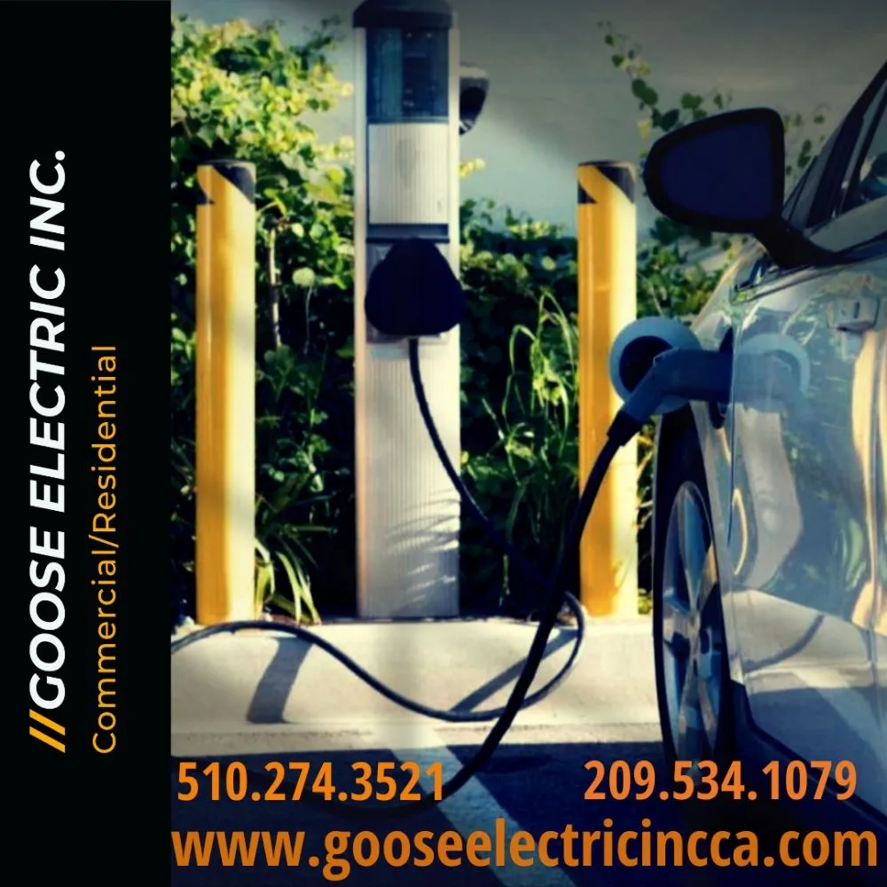 Slide of Goose Electric