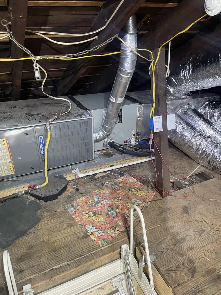 Slide of Gore's Services