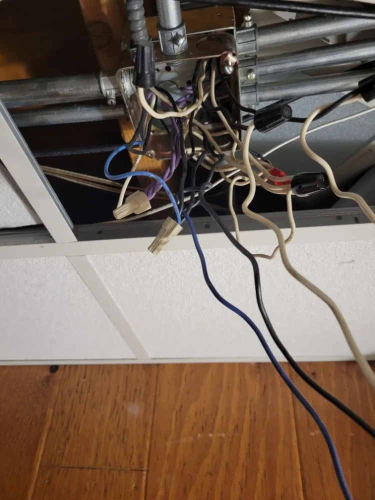 Slide of Got Arcs or Sparks