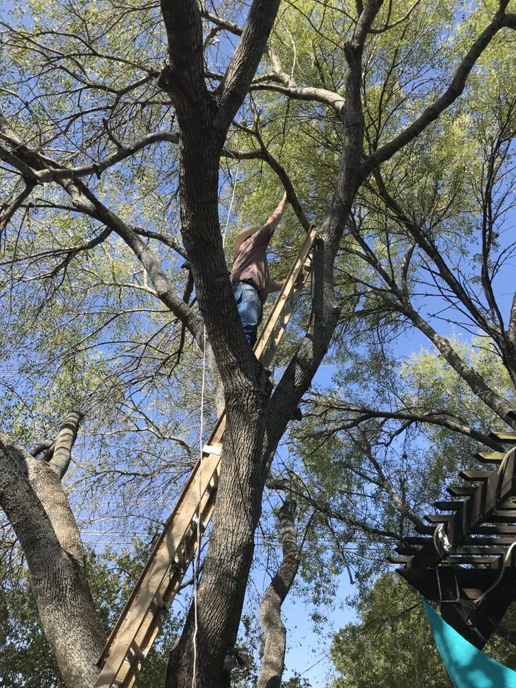 Slide of Gower Power