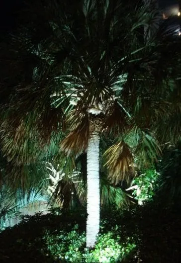 Professional emergency electrical service experts serving ,  - Grand Strand Electric LLC