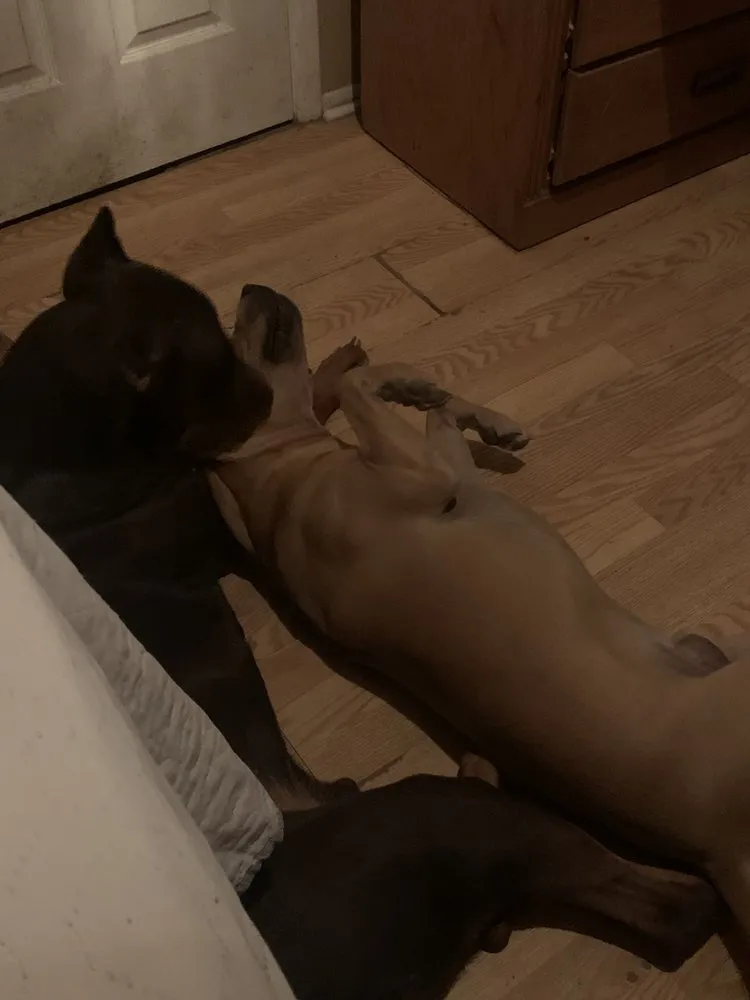 Slide of Granillo Total Construction