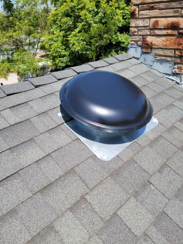 Slide of Granny Electric