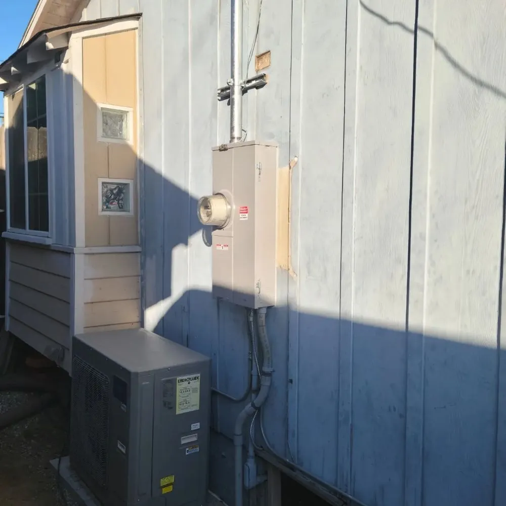 Slide of Granny Electric