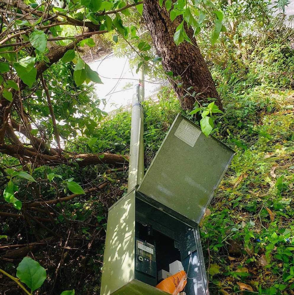 Slide of Grant Park Electric