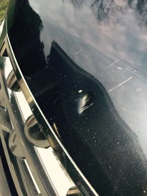 Grass Valley Electric Logo