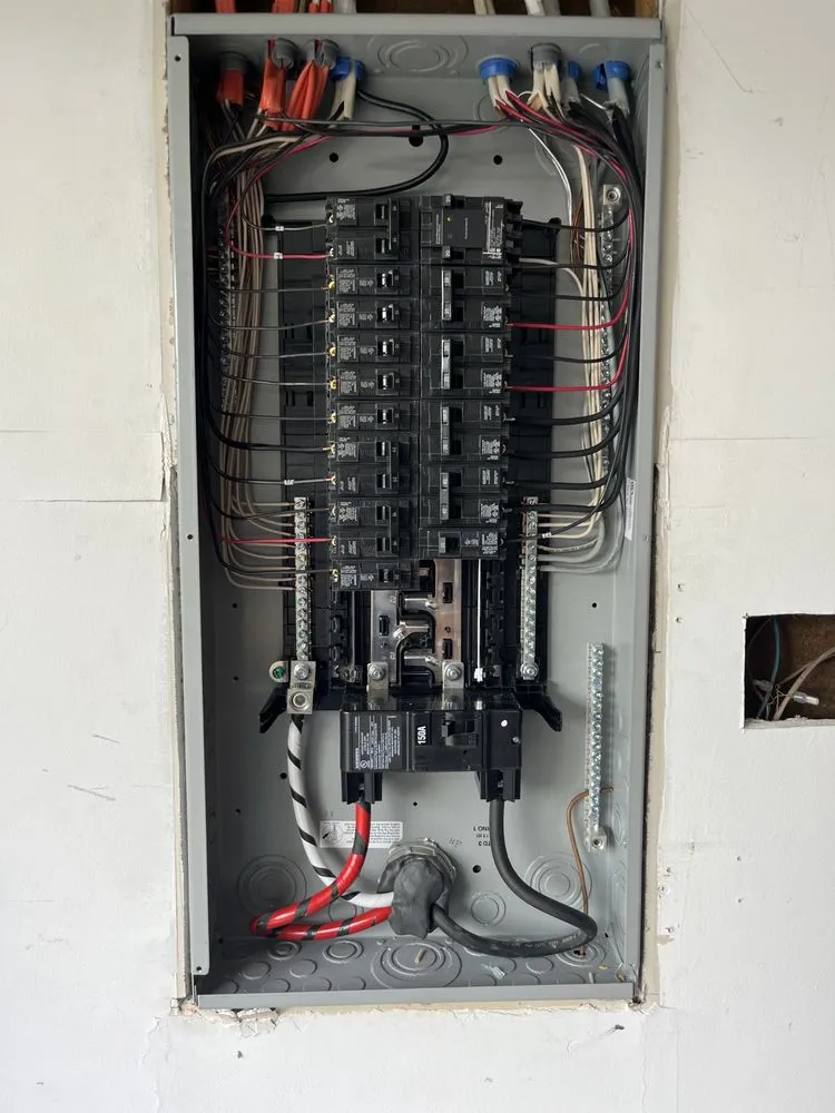 Slide of Gray Duck Electric