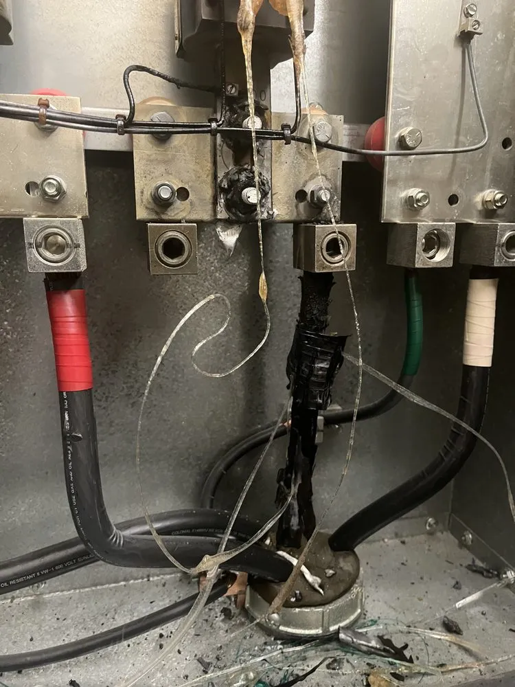 Slide of Gray Duck Electric