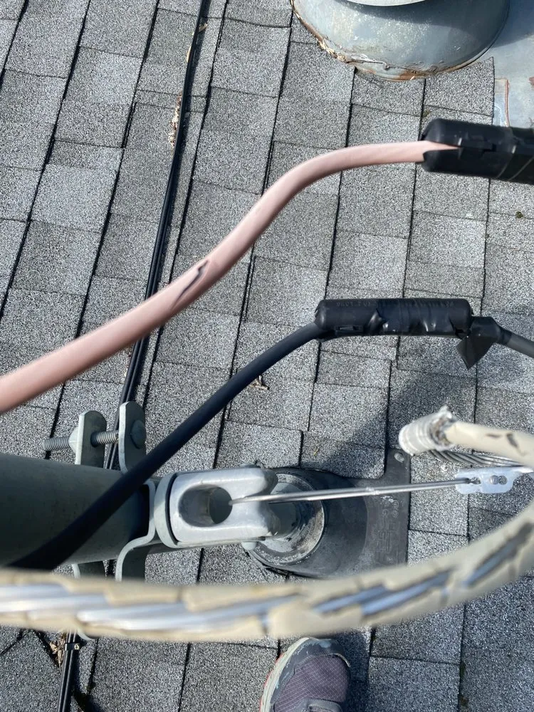 Slide of Gray Duck Electric