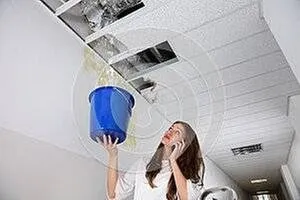 Slide of Green Electric Solar Solutions