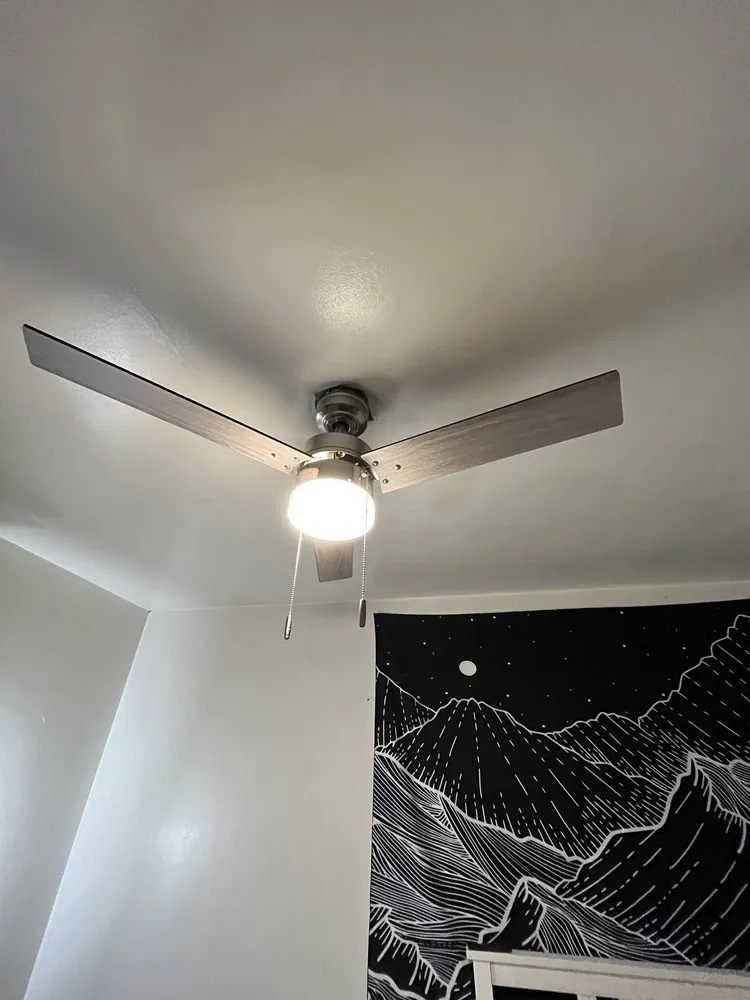 Slide of Green Star Electric